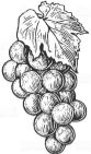 Symbole